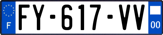 FY-617-VV