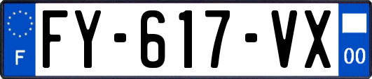 FY-617-VX