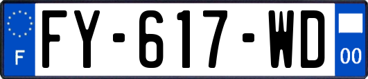 FY-617-WD
