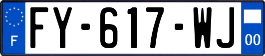 FY-617-WJ