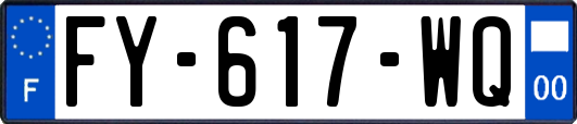 FY-617-WQ