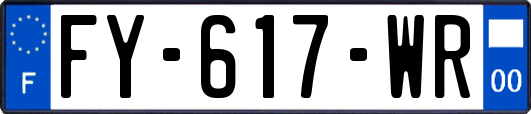 FY-617-WR