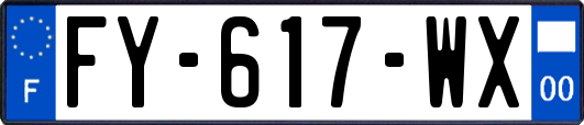 FY-617-WX