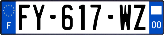 FY-617-WZ