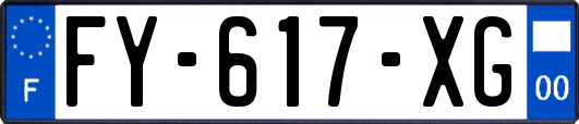 FY-617-XG