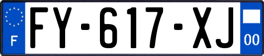 FY-617-XJ