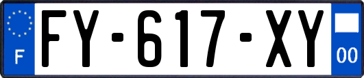 FY-617-XY