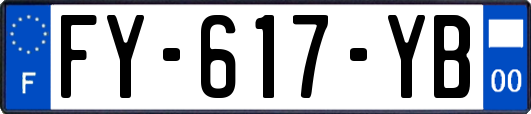 FY-617-YB