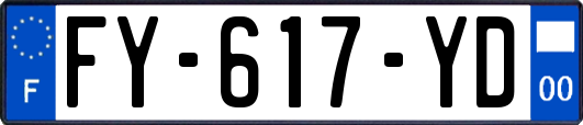 FY-617-YD