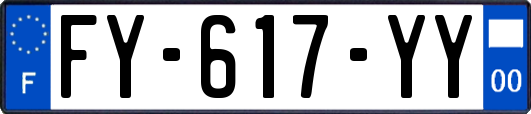 FY-617-YY