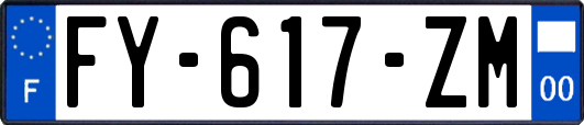 FY-617-ZM