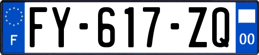 FY-617-ZQ