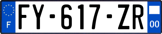 FY-617-ZR