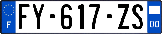 FY-617-ZS