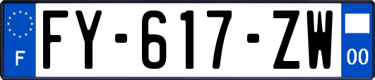 FY-617-ZW