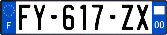 FY-617-ZX