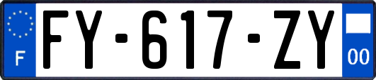 FY-617-ZY