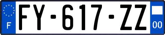 FY-617-ZZ