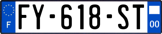 FY-618-ST