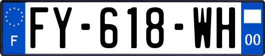 FY-618-WH
