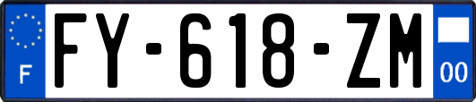 FY-618-ZM
