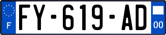 FY-619-AD