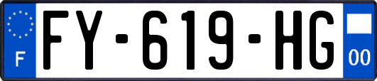 FY-619-HG