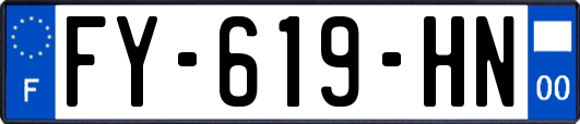 FY-619-HN
