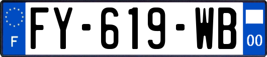 FY-619-WB