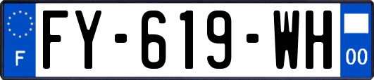 FY-619-WH