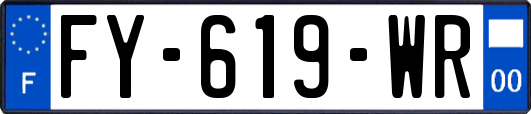 FY-619-WR