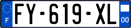 FY-619-XL