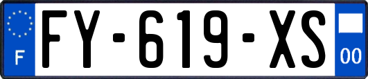 FY-619-XS
