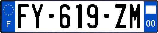 FY-619-ZM