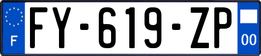 FY-619-ZP