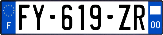 FY-619-ZR