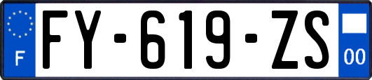 FY-619-ZS