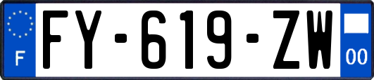 FY-619-ZW