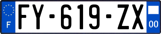 FY-619-ZX