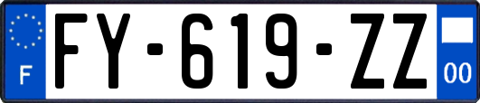 FY-619-ZZ