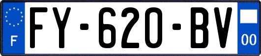 FY-620-BV
