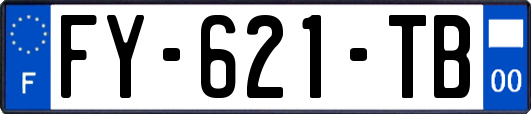 FY-621-TB