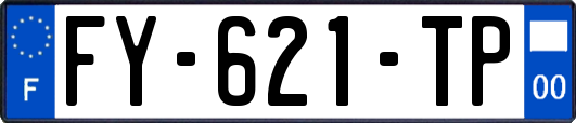 FY-621-TP