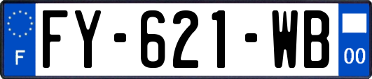 FY-621-WB