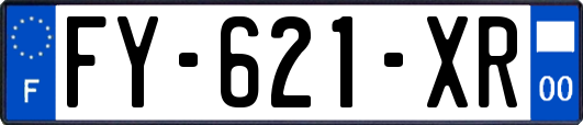 FY-621-XR
