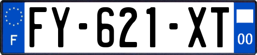 FY-621-XT