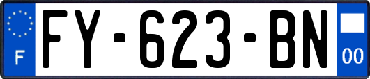 FY-623-BN