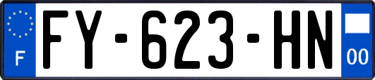 FY-623-HN