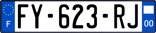 FY-623-RJ