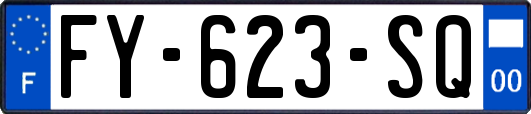 FY-623-SQ